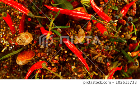 Fresh Various Spices and Herbs Flying on Black Background, Freeze Motion, Wide Angle View. Fresh Various Spices and Herbs Flying on Black Background, Freeze Motion, Wide Angle View. 102613738
