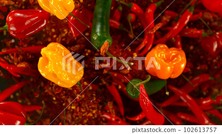 Chilli peppers flying up in the air. Freeze motion. Isolated on black background. Chilli peppers flying up in the air. Freeze motion. Isolated on black background. 102613757