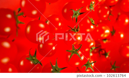 Freeze motion of flying fresh cherry tomatoes, macro shot 102613764
