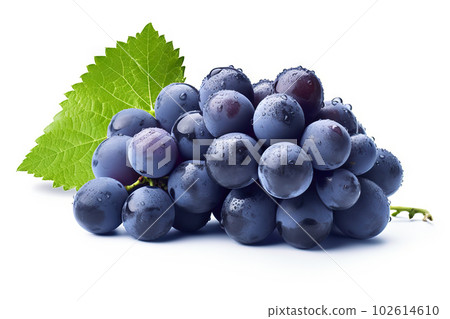 Fresh Blue Grapes Bunch Isolated on White Background, Close-up Shot. created with Generative AI Fresh Blue Grapes Bunch Isolated on White Background, Close-up Shot. created with Generative AI 102614610