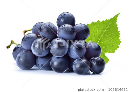 Fresh Blue Grapes Bunch Isolated on White Background, Close-up Shot. created with Generative AI Fresh Blue Grapes Bunch Isolated on White Background, Close-up Shot. created with Generative AI 102614611