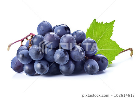 Fresh Blue Grapes Bunch Isolated on White Background, Close-up Shot. created with Generative AI Fresh Blue Grapes Bunch Isolated on White Background, Close-up Shot. created with Generative AI 102614612