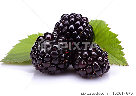 Juicy Blackberry on White Background: Perfect for Healthy Snacks and Delicious Recipes. created with Generative AI 102614670