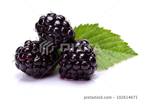 Juicy Blackberry on White Background: Perfect for Healthy Snacks and Delicious Recipes. created with Generative AI 102614671