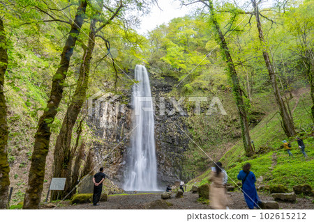 Tamadare Falls Shinryoku 102615212