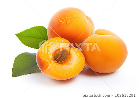 Juicy and Ripe Apricots with Water Droplets Isolated on White Background. created with Generative AI Juicy and Ripe Apricots with Water Droplets Isolated on White Background. created with Generative AI 102615291