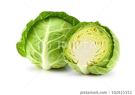 Fresh green cabbage isolated on white background. created with Generative AI 102615352