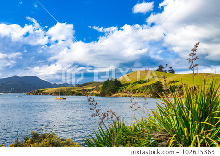 Otago Harbour South Island New Zealand Otago Harbour South Island New Zealand 102615363