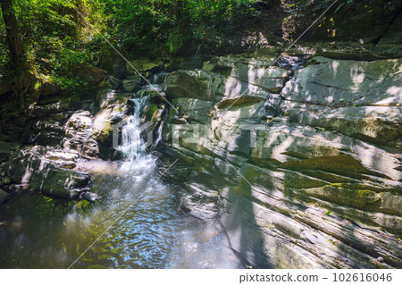 moss covered rocks in the creek. outdoor nature scenery of carpathian woodland moss covered rocks in the creek. outdoor nature scenery of carpathian woodland 102616046