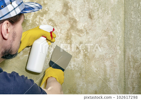 A male builder with a sprayer and a spatula cleans the wall from mold and mildew 102617298