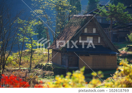 Ainokura Gassho Village, Nanto City, Toyama Prefecture: Gassho-zukuri house in late autumn morning mist 102618769