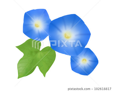 喇叭花 102618817