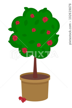 Vector illustration of growing plant with flower in pot isolated on white. Potted tree with flower Vector illustration of growing plant with flower in pot isolated on white. Potted tree with flower 102619878