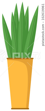 Decorative green plant with long leaves in ceramic pot, pot with houseplant. Home interior plant 102619961