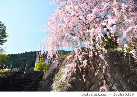 Nyu Kawakami Shrine [Kawakami Village, Yoshino District, Nara Prefecture] 102620339