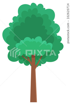 Green bright spring high tree with a lush crown, thin brown trunk and branches isolated on white Green bright spring high tree with a lush crown, thin brown trunk and branches isolated on white 102620714