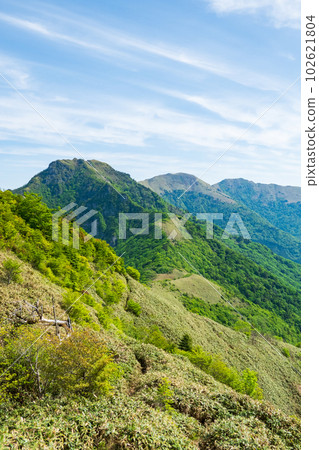 Climbing Mount Iyo, Mt. Kanpu, and Sasagamine in spring (Iyo Fuji - Mt. Kanpu) 102621804