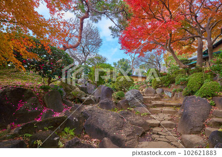Japanese garden in Todoroki Valley in Setagaya, Tokyo in autumn Japanese garden in Todoroki Valley in Setagaya, Tokyo in autumn 102621883
