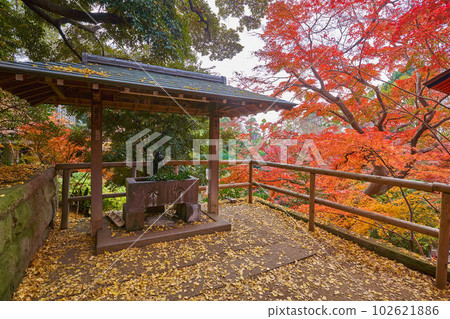 Chozuya at Todoroki Fudoson Temple (Myo-in Temple) near Todoroki Valley in Setagaya Ward, Tokyo 102621886