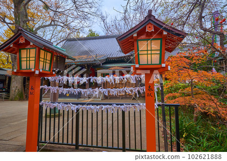 Omikuji hanging in the precincts of Todoroki Fudoson (Myo-in Temple) near Todoroki Valley in Setagaya Ward, Tokyo in autumn 102621888
