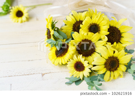 Bouquet of lemon yellow sunflowers 102621916