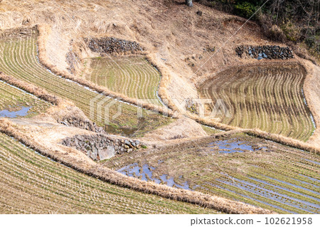 Okayama's Top 100 Terraced Rice Fields, Oyama's Rice Terraces 102621958