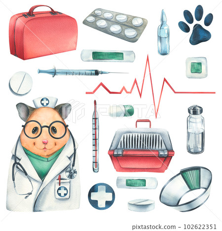 Veterinary set with doctor hamster, pet carrier, medicines. Watercolor illustration, hand drawn. Isolated objects on a white background, for the design of clinics, hospitals, pharmacies, medicines Veterinary set with doctor hamster, pet carrier, medicines. Watercolor illustration, hand drawn. Isolated objects on a white background, for the design of clinics, hospitals, pharmacies, medicines 102622351