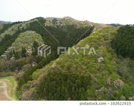 Satoyama deep green aerial view Satoyama deep green aerial view 102622910