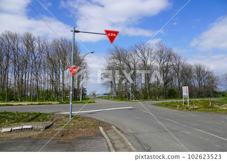 十字路口的停車標誌 102623523