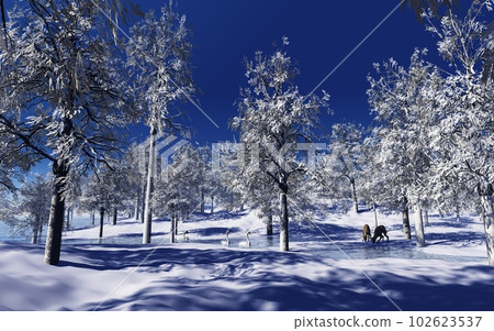 Scenery of the forest in severe winter 102623537