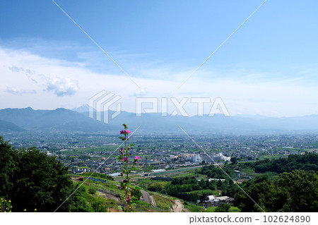 Yamanashi Prefecture _ Scenery from an observatory with no name 3 102624890