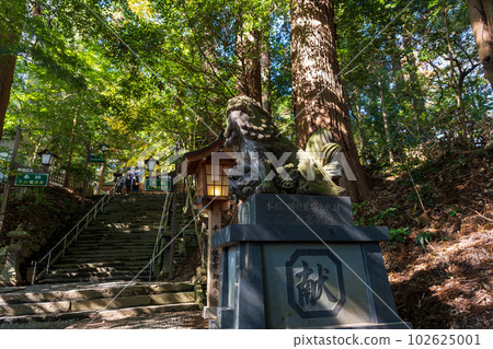 Stone steps to the shrine ``Takachiho Shrine, which was built about 1900 years ago during the era of Emperor Suinin'' Stone steps to the shrine ``Takachiho Shrine, which was built about 1900 years ago during the era of Emperor Suinin'' 102625001