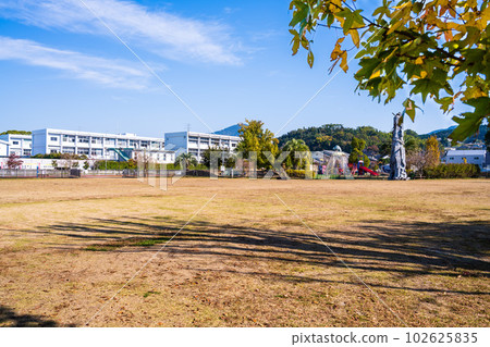 Park scenery with the clear autumn sky and forest in the background (Mifune Town Fureai Square) Park scenery with the clear autumn sky and forest in the background (Mifune Town Fureai Square) 102625835