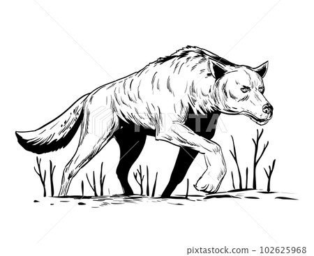Wolf or Wild Dog Stalking During Winter Viewed from Low Angle Comics Style Drawing 102625968