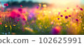 Field of colorful wildflowers at sunrise closeup image. AI generated illustration 102625991