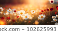 Field of wildflowers at sunset closeup image. AI generated illustration 102625993