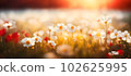 Field of wildflowers at sunset closeup image. AI generated illustration 102625995