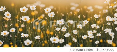 Field of wildflowers closeup image. AI generated illustration Field of wildflowers closeup image. AI generated illustration 102625999