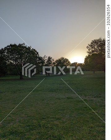 沒有一個人的草坪，樹木和日落 102626354