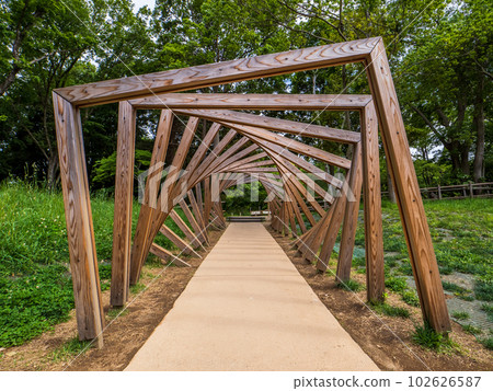 Matsudo City 21st century forest and playground equipment "Asobi no Sumika" [Jomon Tunnel] 102626587