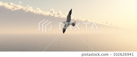 Seagull over the sea Seagull over the sea 102626941