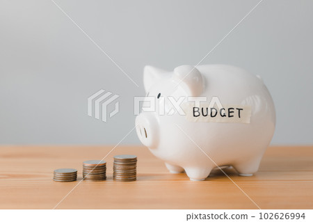 Piggy bank with money and a sticker with the words BUDGET 102626994