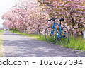 Row of cherry blossom trees along the Ai River 102627094