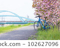 Row of cherry blossom trees along the Ai River 102627096