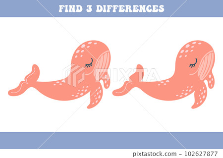 Find 5 differences between two cartoon fur seals. Children's logic game, educational puzzle, vector Find 5 differences between two cartoon fur seals. Children's logic game, educational puzzle, vector 102627877