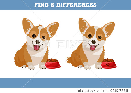 Find 5 differences between two cartoon corgi dogs. Children's logic game, educational puzzle, vector Find 5 differences between two cartoon corgi dogs. Children's logic game, educational puzzle, vector 102627886