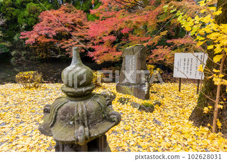 在美麗的紅葉中閃耀的風景“以倒映在水面上的紅葉景色而聞名的隼鳥坂天滿宮”（阿蘇市） 102628031