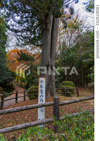 Scenery that shines in beautiful autumn leaves "Hayabusaka Tenmangu Shrine, famous for the scenery of autumn leaves reflected on the surface of the water" (Aso City) Scenery that shines in beautiful autumn leaves "Hayabusaka Tenmangu Shrine, famous for the scenery of autumn leaves reflected on the surface of the water" (Aso City) 102628081