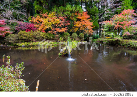 紅葉產須磨神社 供奉乳之女神“豐玉姬”的神社 102628092