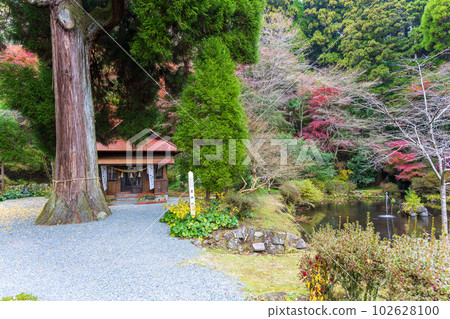 Momiji Ubusuma Shrine A shrine that enshrines the goddess of milk "Toyotama-hime" 102628100